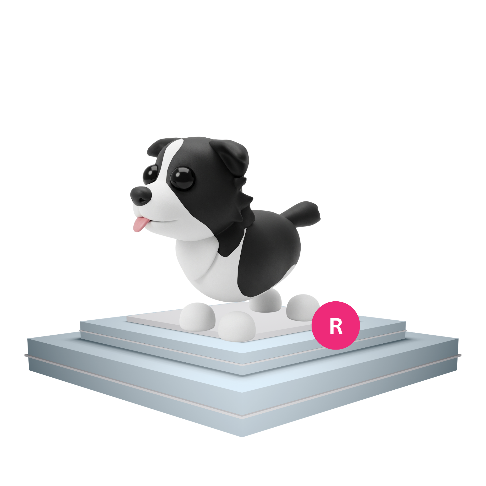 Border collie adopt me Ride border collie adopt me Velcra