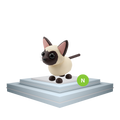 Neon Siamese cat adopt me Siamese cat adopt me Velcra